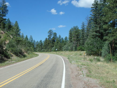 GDMBR: More Trees, it is always nice to ride in the trees.